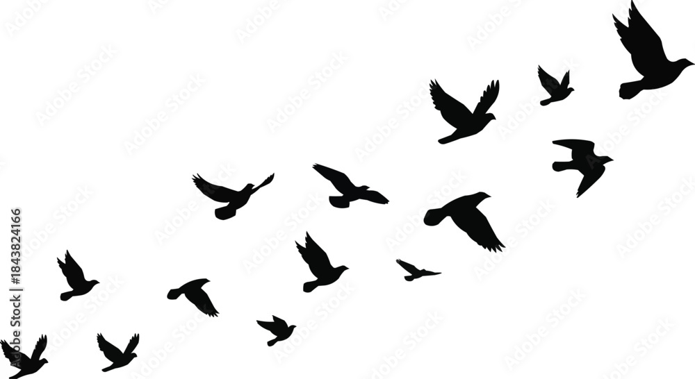 Obraz premium Flying Birds Silhouette Vector Set: Flock, Migration, Freedom