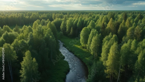 Forest river aerial view
