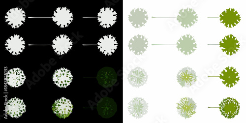 Visual representation of tree growth and color changes over time or stages