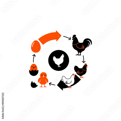 Illustration of Chicken Cycle with Various Chickens Around Center.