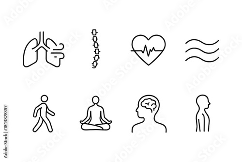 Minimalist health icons set: anatomy and wellness symbols