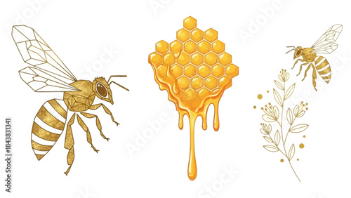 Luxurious golden bee vector elements with geometric bee, honeycomb pattern, and floral sprig for organic branding