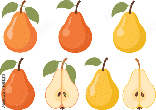 A High-Quality Vector Illustration Set of Brown-Skinned Potatoes, Showing Whole, Cubed, and Sliced Cuts for Recipe Ingredients or Vegetable Food Packaging Design.