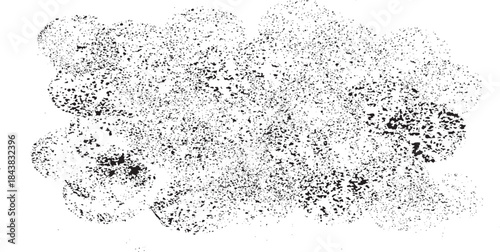 Abstract vector noise. Small particles of debris and dust. Distressed uneven background. Grunge with fine grains isolated on white background. Vector illustration. EPS10.