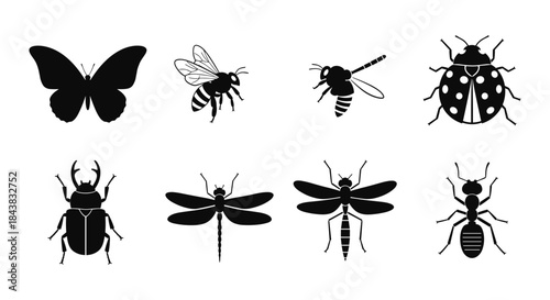 Silhouette set of common insects: butterfly, bee, ladybug, dragonfly, ant