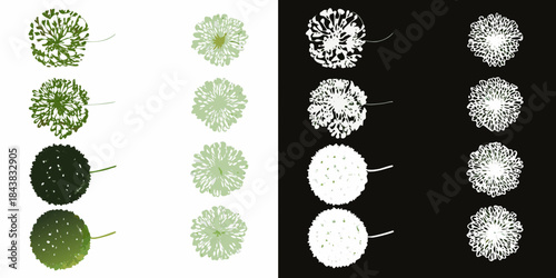 A visual comparison of green leaves across different contrast backgrounds