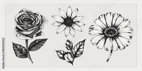 A monochrome botanical study featuring roses daisies and detailed floral sketches