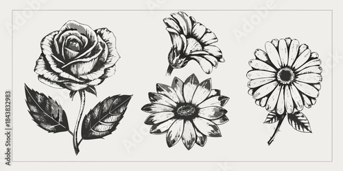 An elegant botanical illustration featuring roses daisies and other vintage flowers