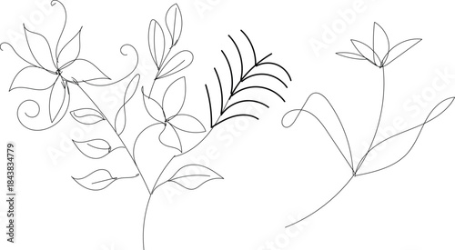 Elegant line art of various leaves and stems for design and decoration purposes easily