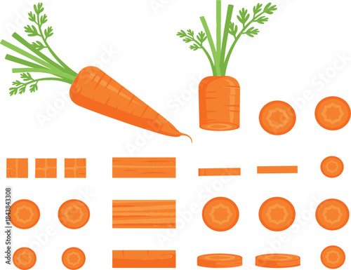  Detailed Collection of Fresh Orange Carrot Cuts and Slices Including Whole, Diced, Julienne, and Round Cross-Sections for Cooking and Healthy Recipe Design Vector.