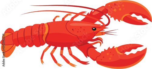 A vibrant illustration of a red lobster with detailed claws and segmented body structure