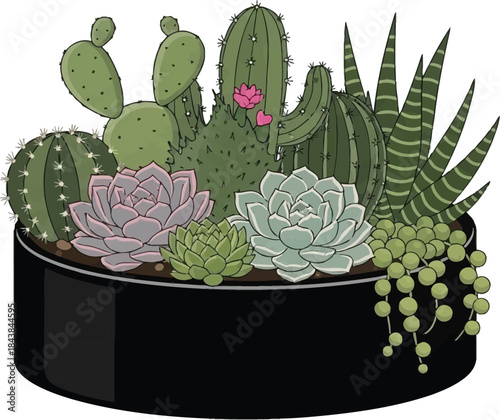A colorful arrangement of various desert succulents and cacti in a black pot