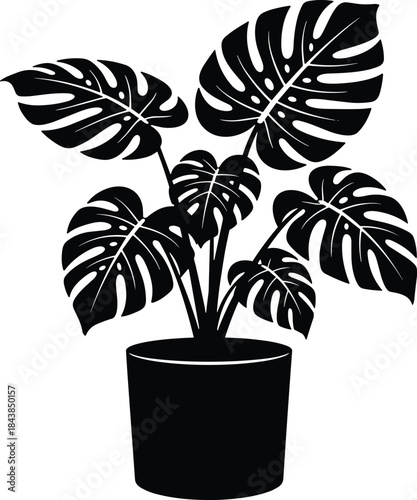 Black Silhouette of Monstera Potted Plant with Split Leaves for Botanical Illustration, Interior Decoration, and Nature-Themed Graphic Design Use
