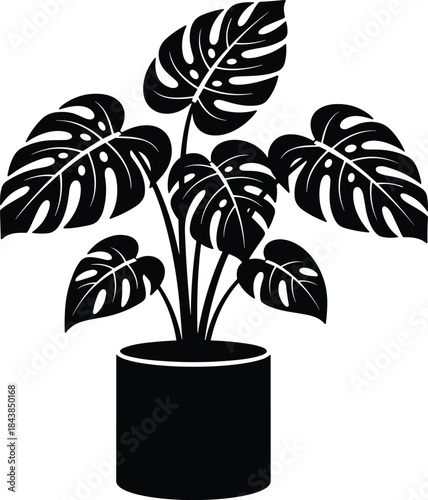 Black Silhouette of Monstera Potted Plant with Split Leaves for Botanical Illustration, Interior Decor, and Nature-Themed Design Projects