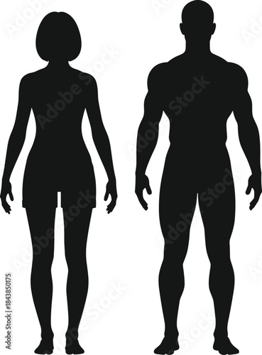 Black Silhouettes of Male and Female Human Figures for Anatomy Comparison, Gender Study, Design Reference, and Educational Illustration Use