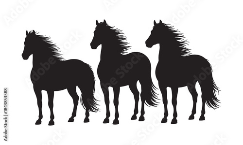 Horse silhouette set vector