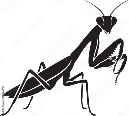 Mantis Praying Insect Black Silhouette Vector Icon