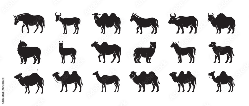Obraz premium Ruminant and camelid mammals silhouettes set featuring horned animals humpbacks and woolly coats icons