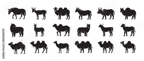 Ruminant and camelid mammals silhouettes set featuring horned animals humpbacks and woolly coats icons