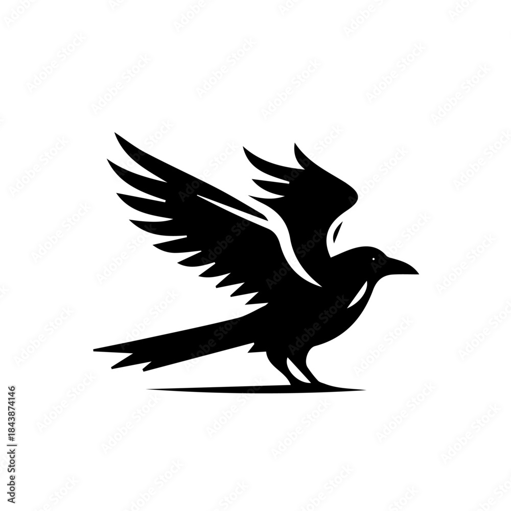 Obraz premium crow on a white background