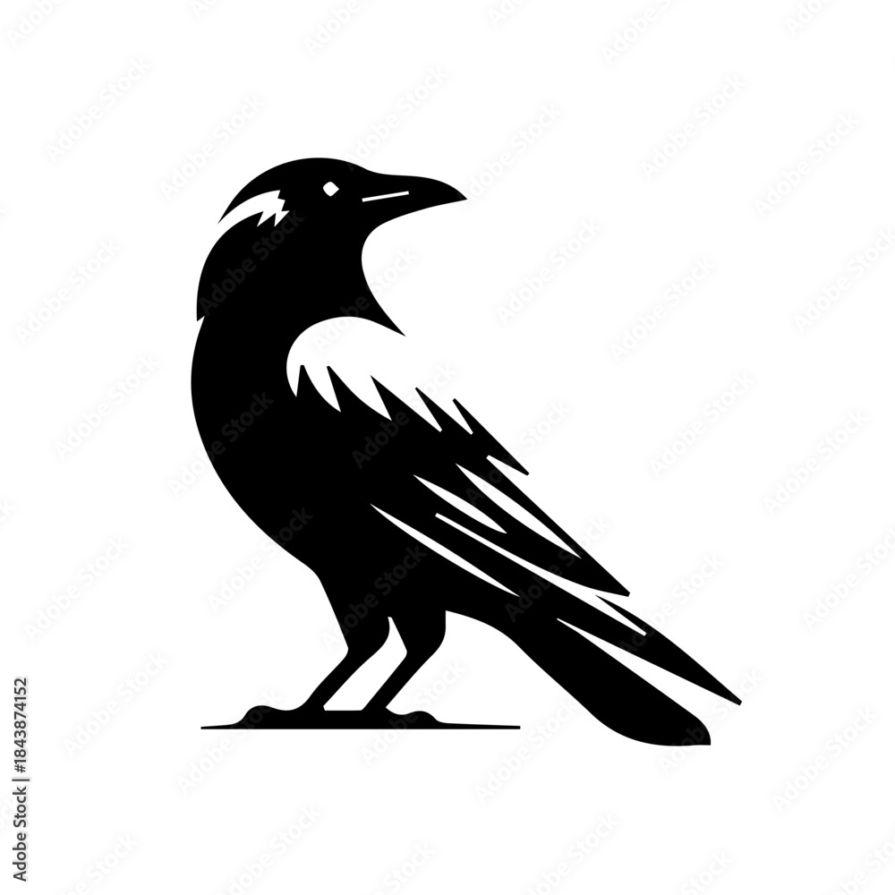 Fototapeta premium crow on a white background