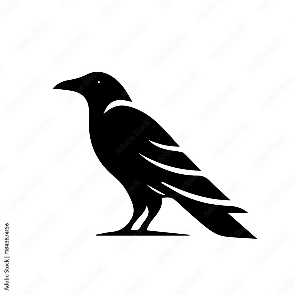 Fototapeta premium crow on a white background
