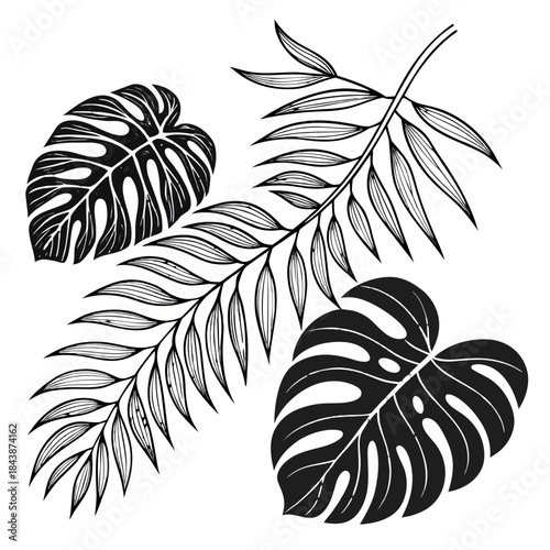 Immerse yourself in nature's beauty with this exquisite collection, created as a hand drawn black and white vector illust of diverse tropical foliage elements