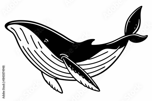 Stylized Black and White Whale Illustration