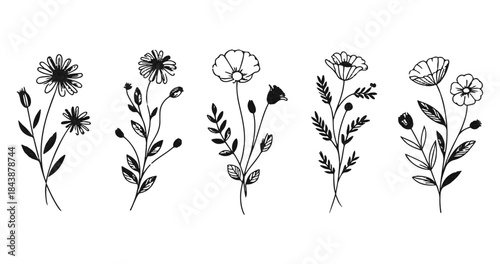 Set of black hand drawn line art flowers with stems and leaves botanical illustrations for design