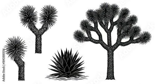 Stylized illustration of Joshua Trees and desert plants in black and white.
