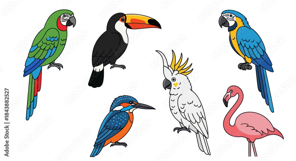 Fototapeta premium A vibrant collection of six colorful tropical birds.
