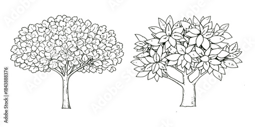 Vector view of trees in hand-drawn top view, isolated on a white background,  Potted flowers colorful icons for landscape, architectural, interior design. 