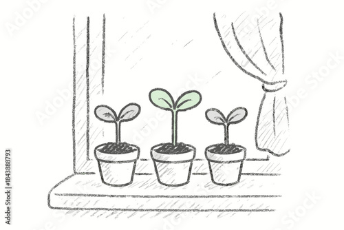 Charming sketch of three potted plants on a windowsill with a curtain
