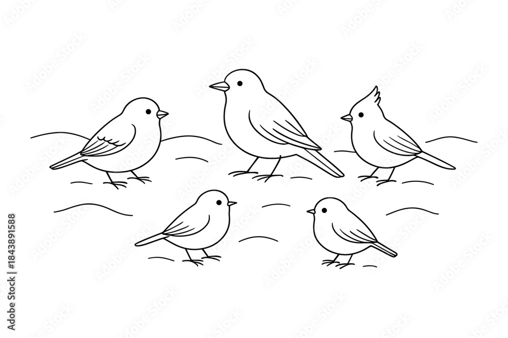 Fototapeta premium Minimalist line art of various birds perched on branches