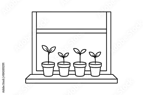 Minimalist linear design of seedlings on a windowsill
