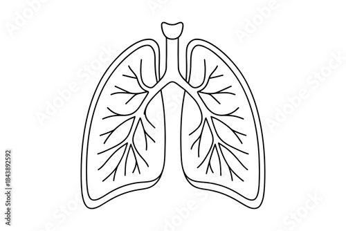 Simplified black outline of human lungs on white background for health and anatomy education