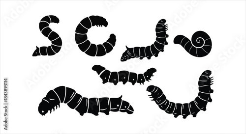 Black silhouettes of various caterpillar shapes on white background
