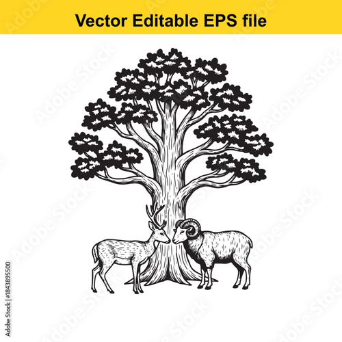  Two rams standing under a large tree