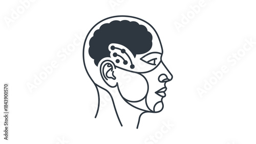 Outline of Human Head with Brain and Circuitry Details mind science