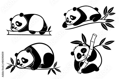 Placeholder image display