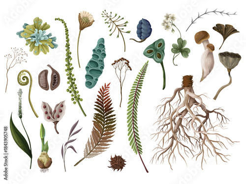 Rewild moss root organic soil earthy raw botanical elements eco vector pattern design isolated.