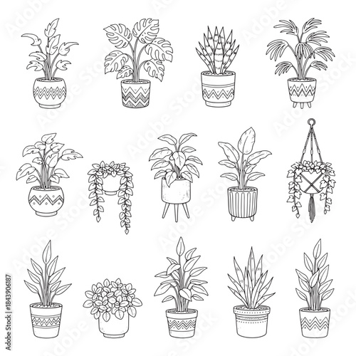 A collection of potted plants in various sizes and shapes. The plants are arranged in a row, with some placed closer together and others spaced further apart