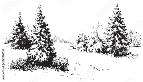 A black and white drawing of a snowy landscape with three pine trees. The trees are bare and the snow is covering the ground. Scene is peaceful and serene, as the viewer is transported to a quiet