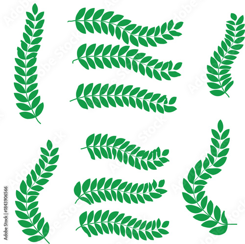 Laurel wreath vector set.
