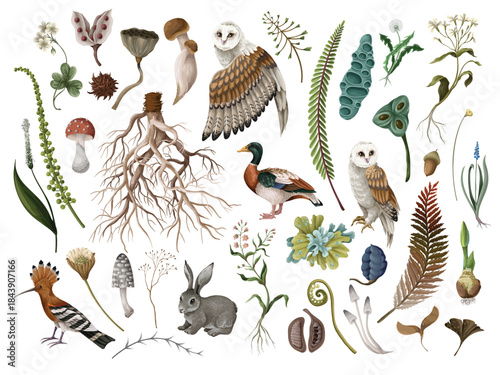 Rewild organic owl vector with earthy moss root elements in raw isolated nature