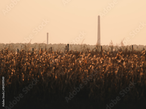 Fields landscape 