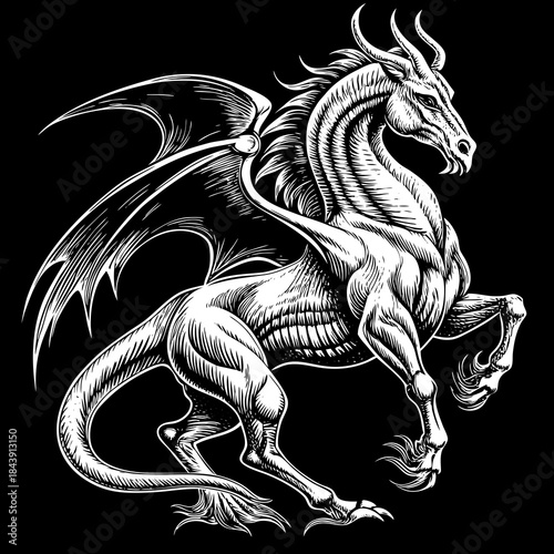Detailed mythical winged horse silhouette illustration isolated on white background