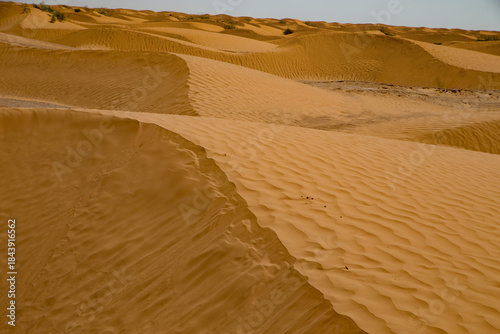 detalhe de dunas de areia fina e coloridas no deserto do saara, tunísia.