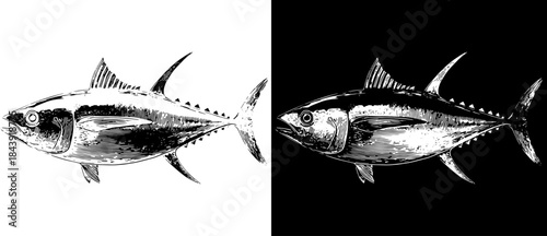Vintage Tuna Fish Engraving, Inverted Black White Xerography Vector on Transparent Background for Laser Engraving on Dark Surface