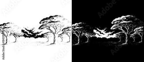 Vintage African Savanna Acacia Landscape Engraving, Inverted Black White Xerography Vector on Transparent Background for Laser Engraving on Dark Surface